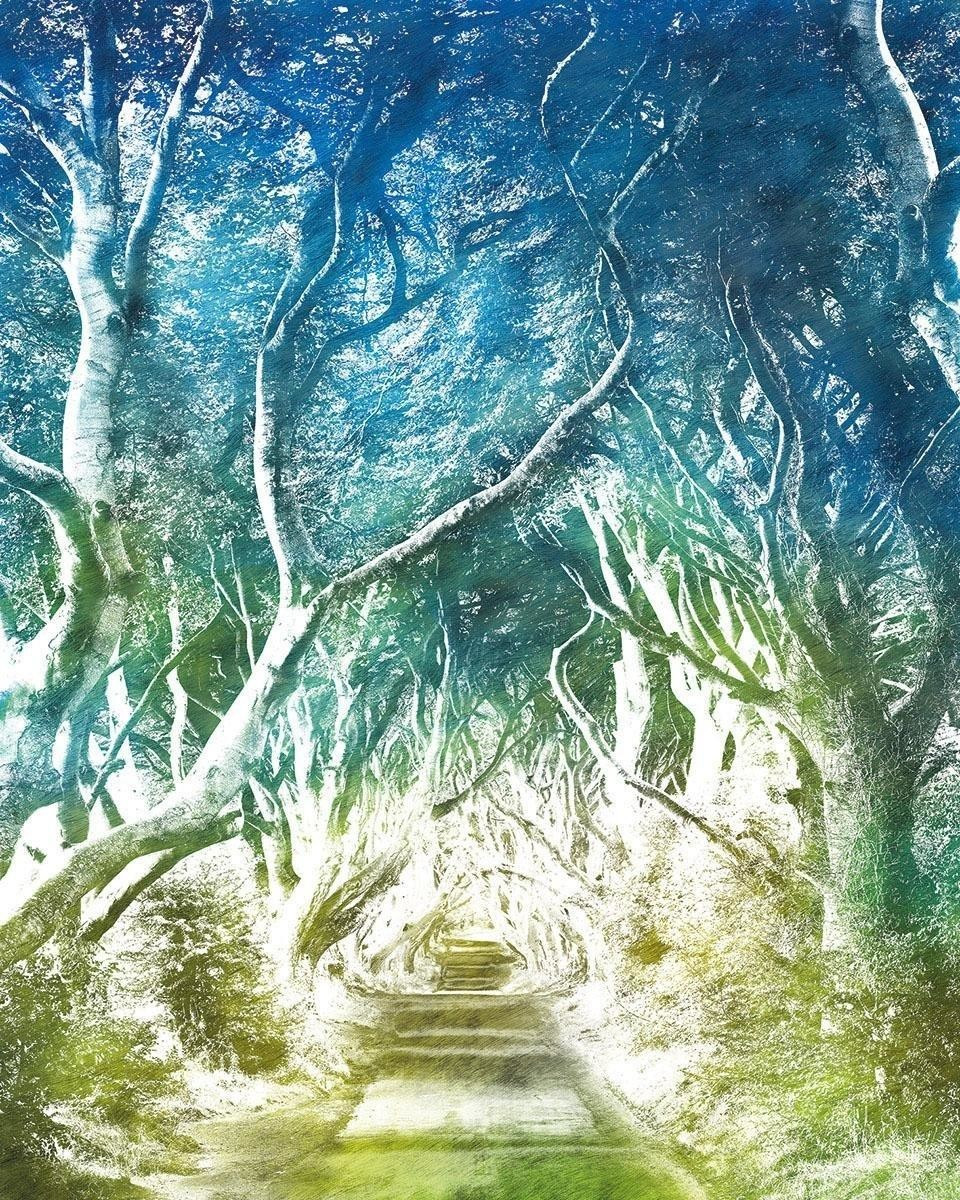 Komar Alley 200 x 250 cm