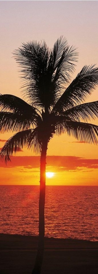 Komar Hawaii 100 x 280 cm
