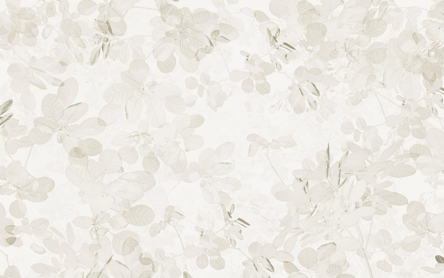 Komar Sheer Grey 400 x 250 cm