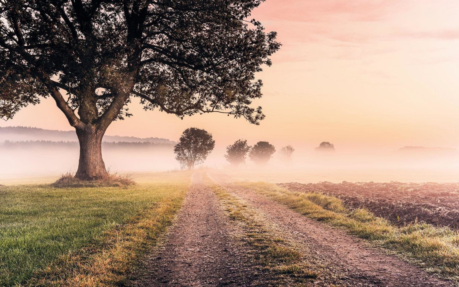 Komar Misty Morning 400 x 250 cm