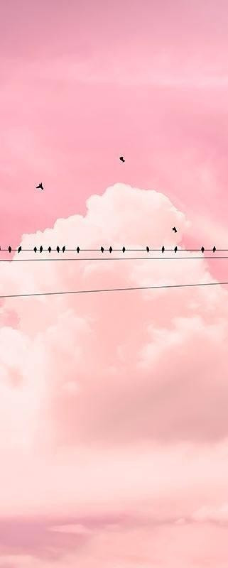 Komar Cloud Wire Panel 100 x 250 cm