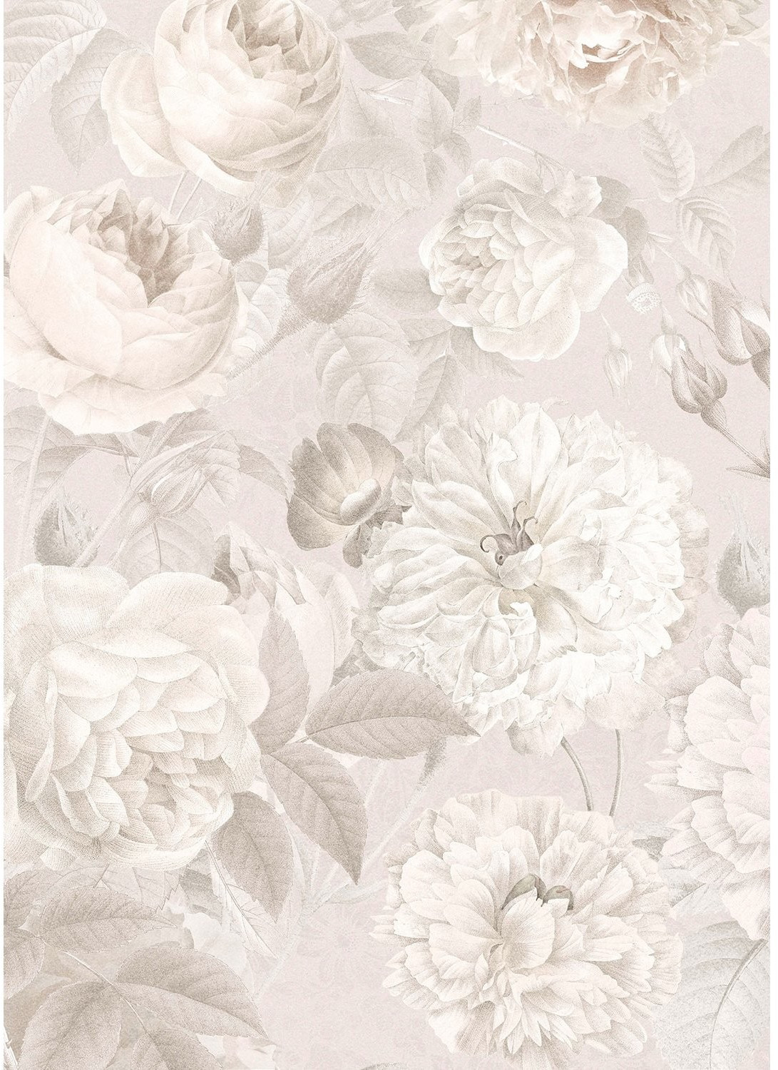 Komar Nuance 184 x 248 cm