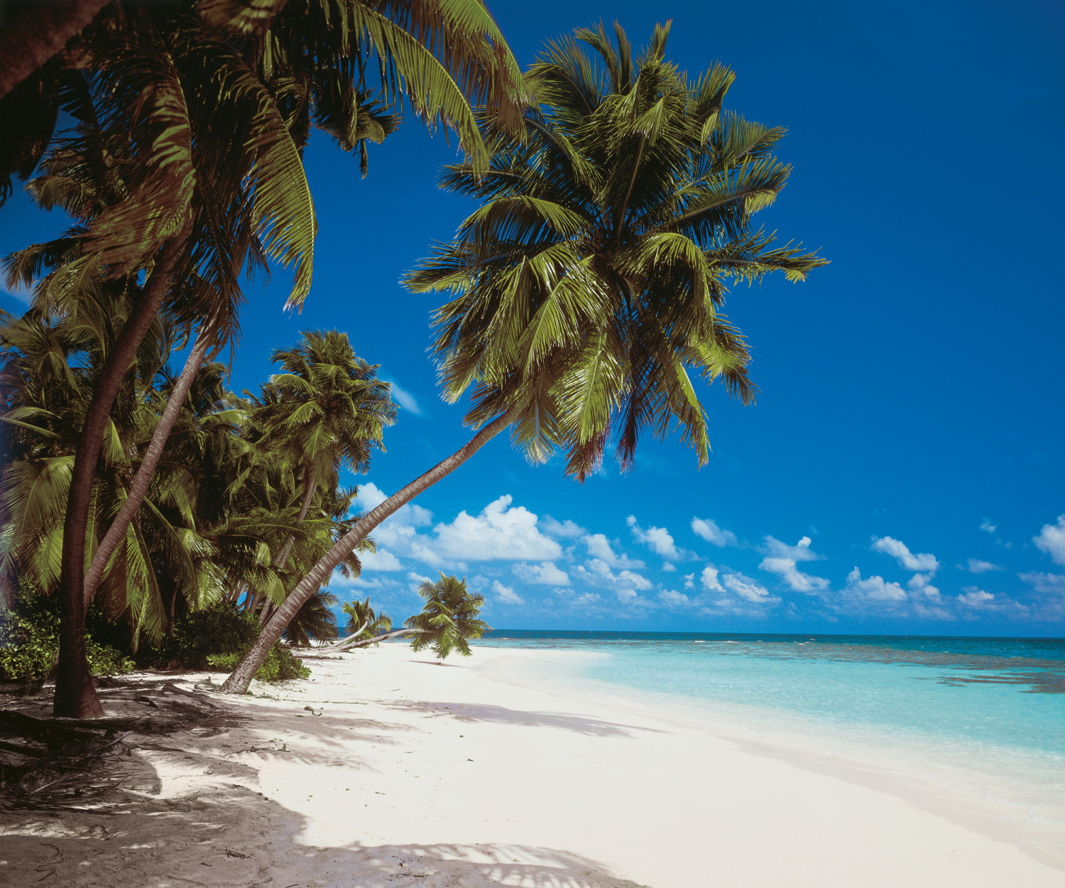 Komar Maldives 300 x 250 cm