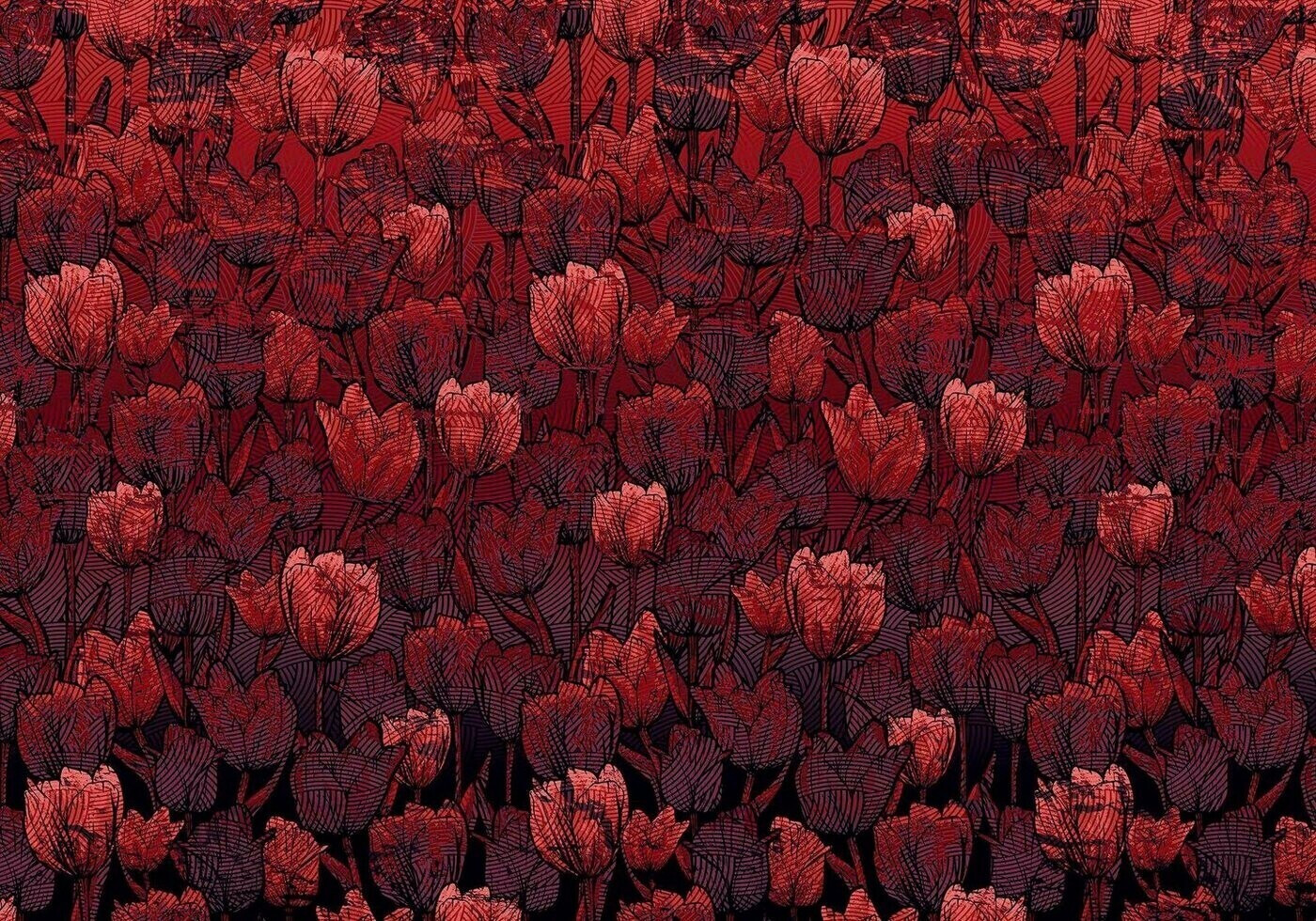 Komar Tulipe 400 x 280 cm