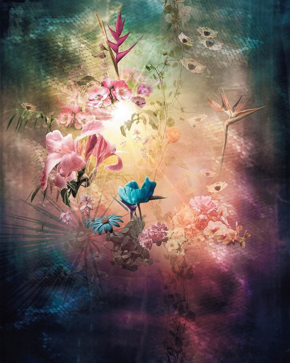 Komar Enlightenment 200 x 250 cm