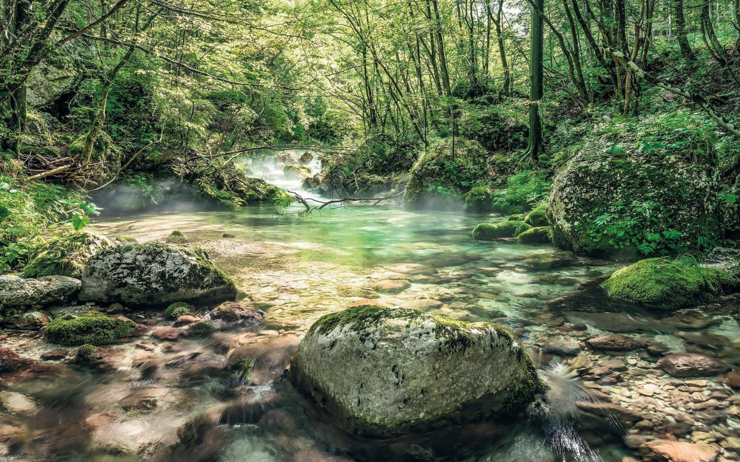 Komar Tranquil Pool 400 x 250 cm