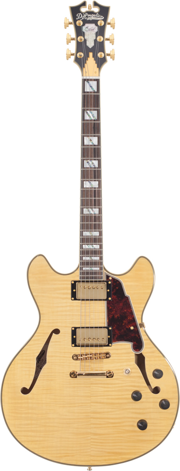 D'Angelico Excel DC