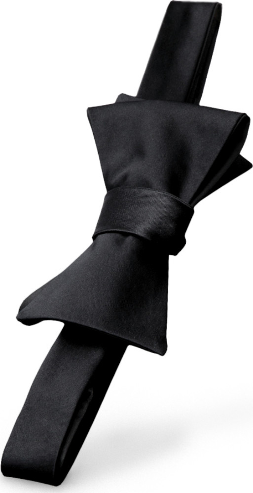 Fifty Shades of Grey His Rules Bow Tie Papillon