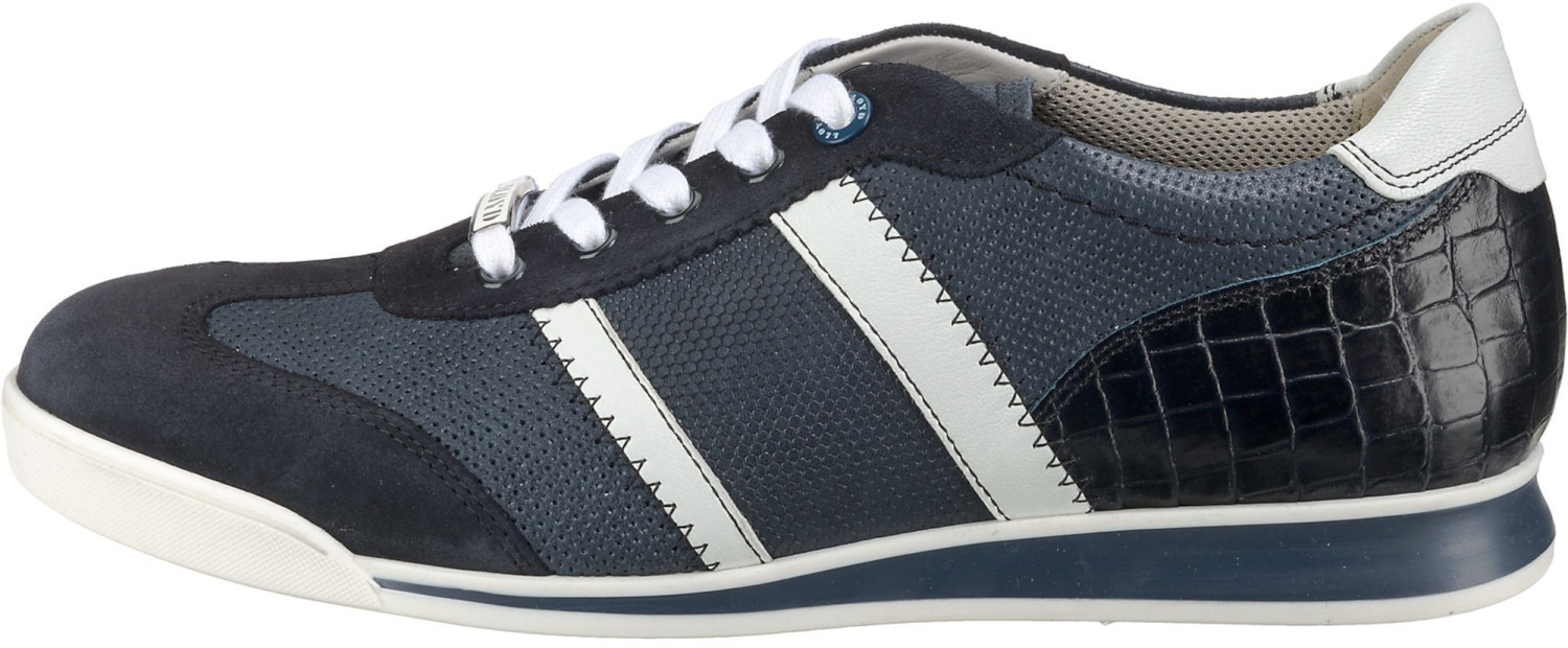 LLOYD Argon blue