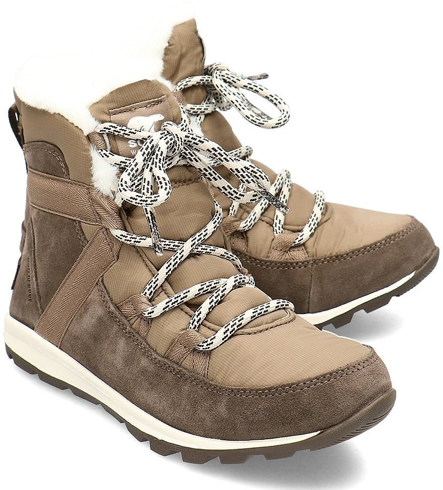 sorel whitney
