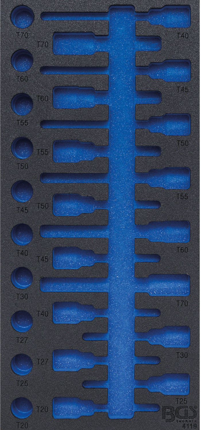 BGS 4119-1