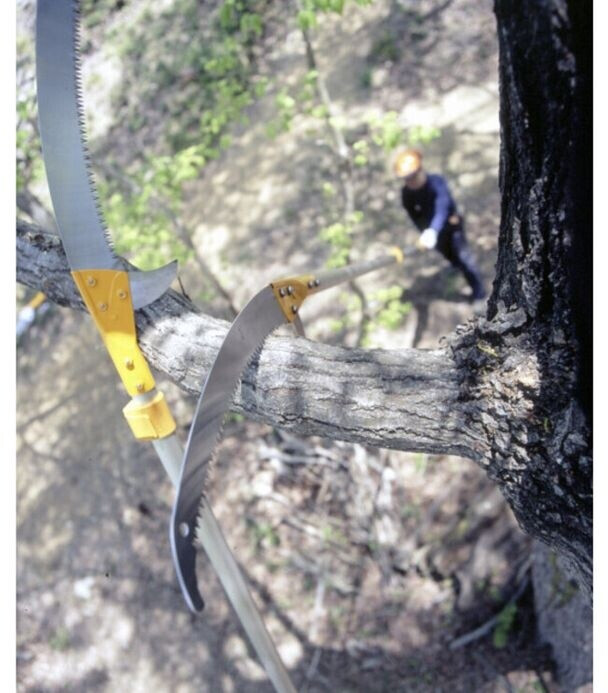 Silky Silky 372-42 - view 6