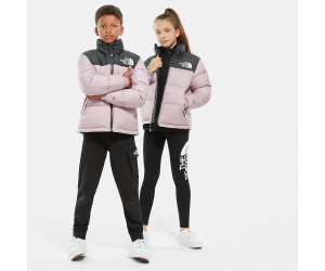 north face ashen purple jacket