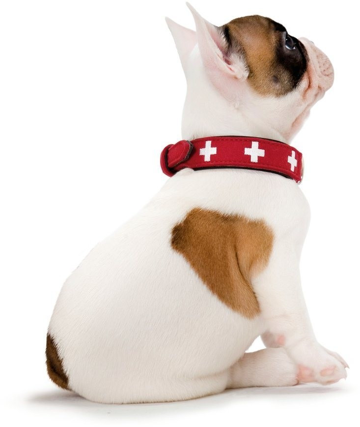HUNTER Collier pour chien Dog Collar Swiss 70  Red