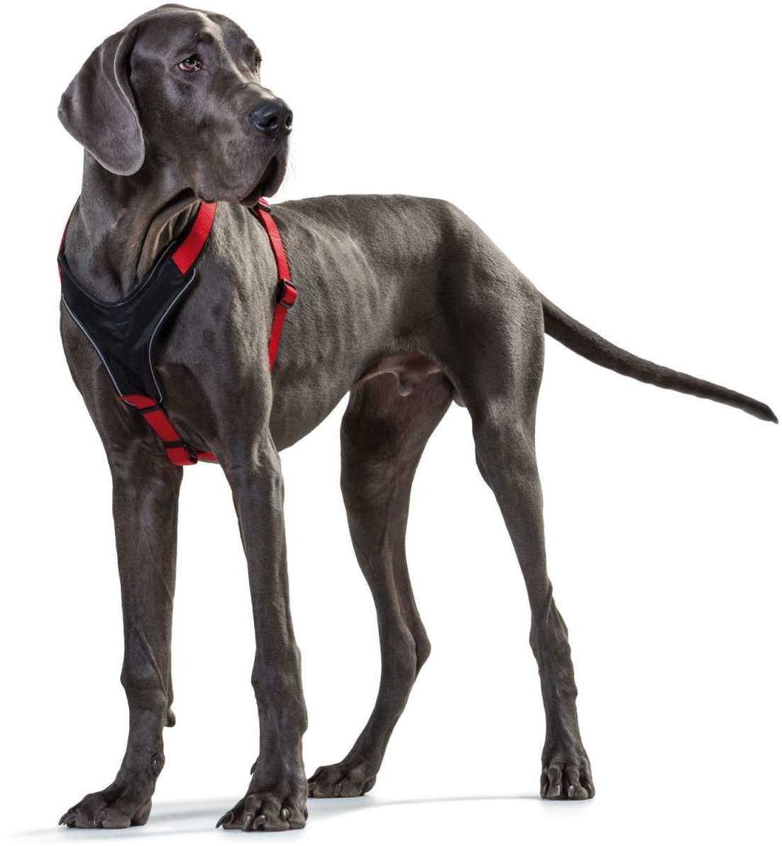 HUNTER Harnais pour chien XXL Red Black HUNTER Harnais pour chien XXL Red Black
