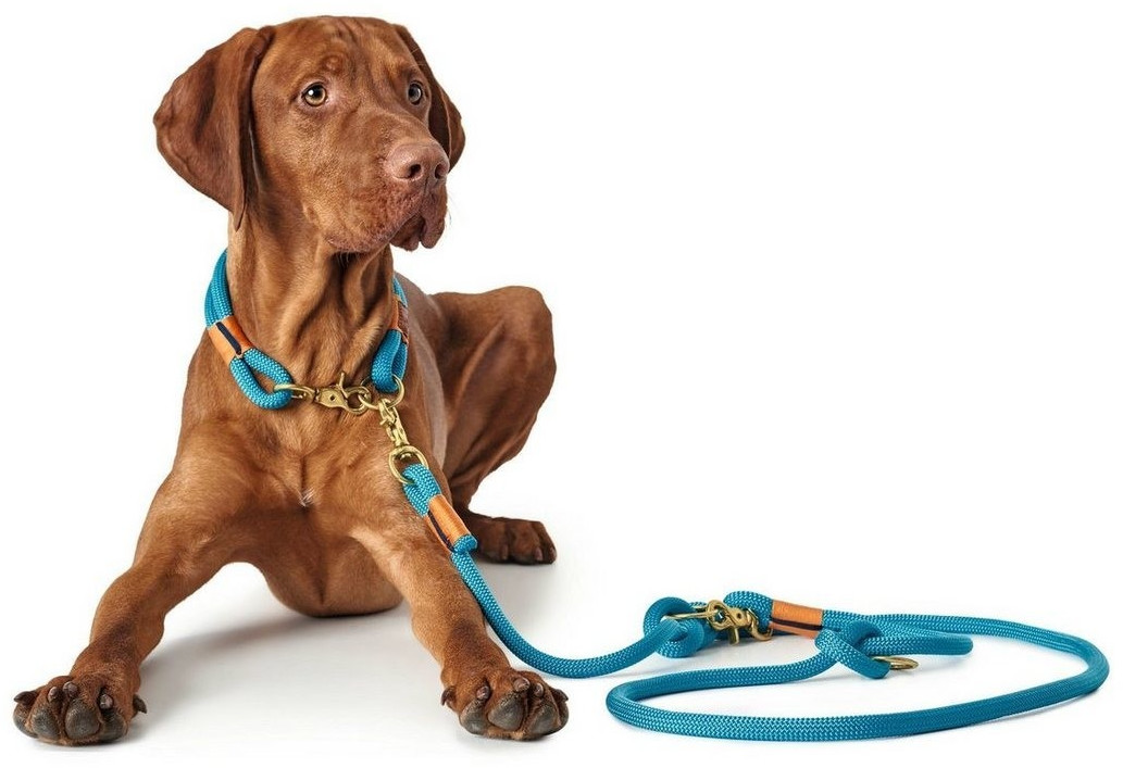 HUNTER Collier pour chien 55 2x10mm Petrol HUNTER Collier pour chien 55 2x10mm Petrol