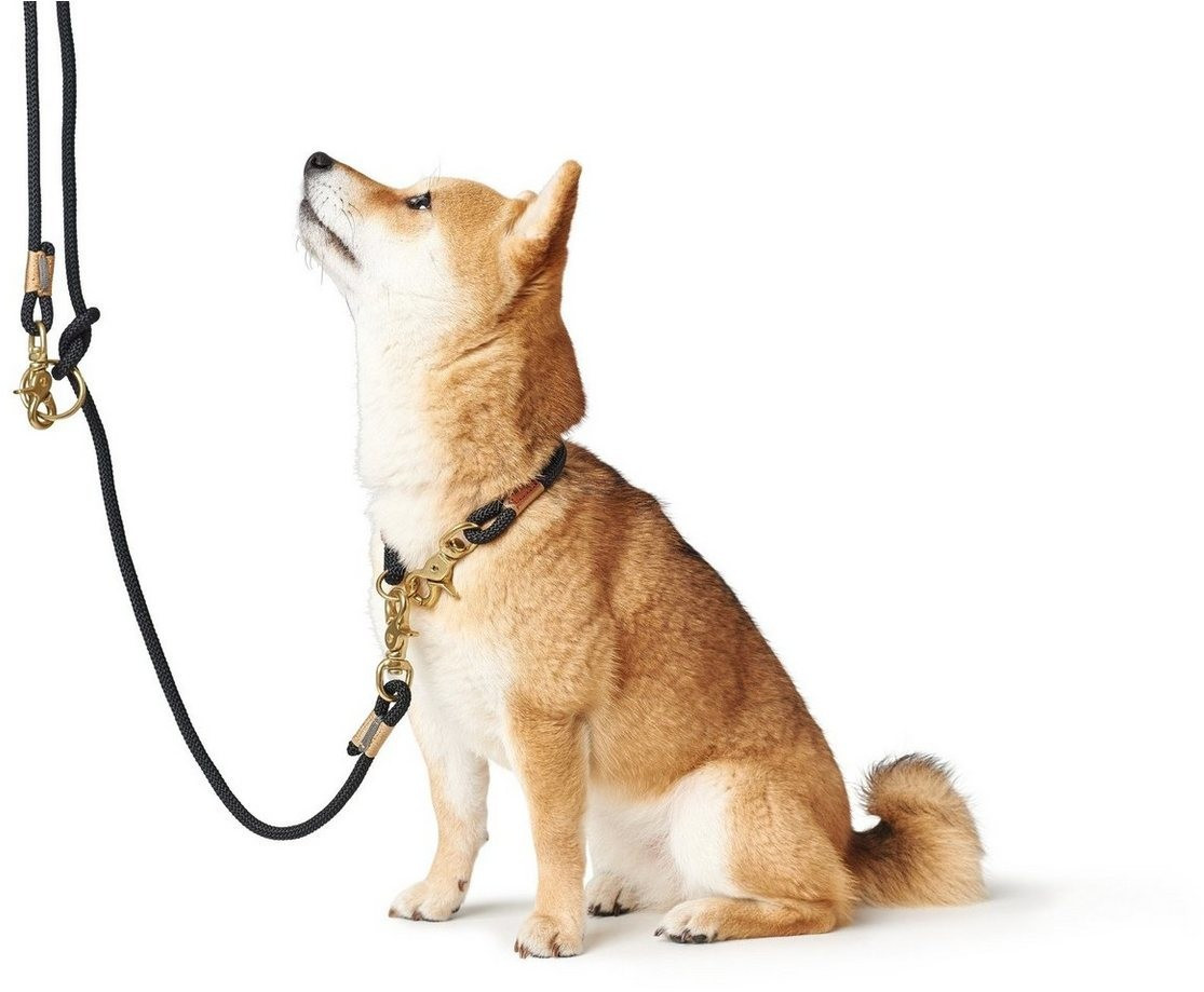 HUNTER Collier pour chien 60 2x10mm Black HUNTER Collier pour chien 60 2x10mm Black