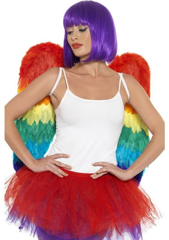 Smiffy's Rainbow feather wings adult costume (60 x 60 cm)