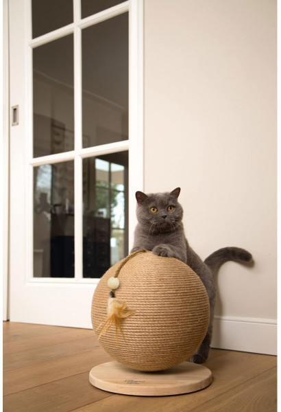Designed by Lotte Jouet à griffer pour chat