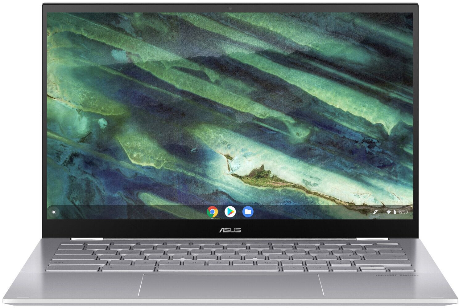 Asus Chromebook Flip C436