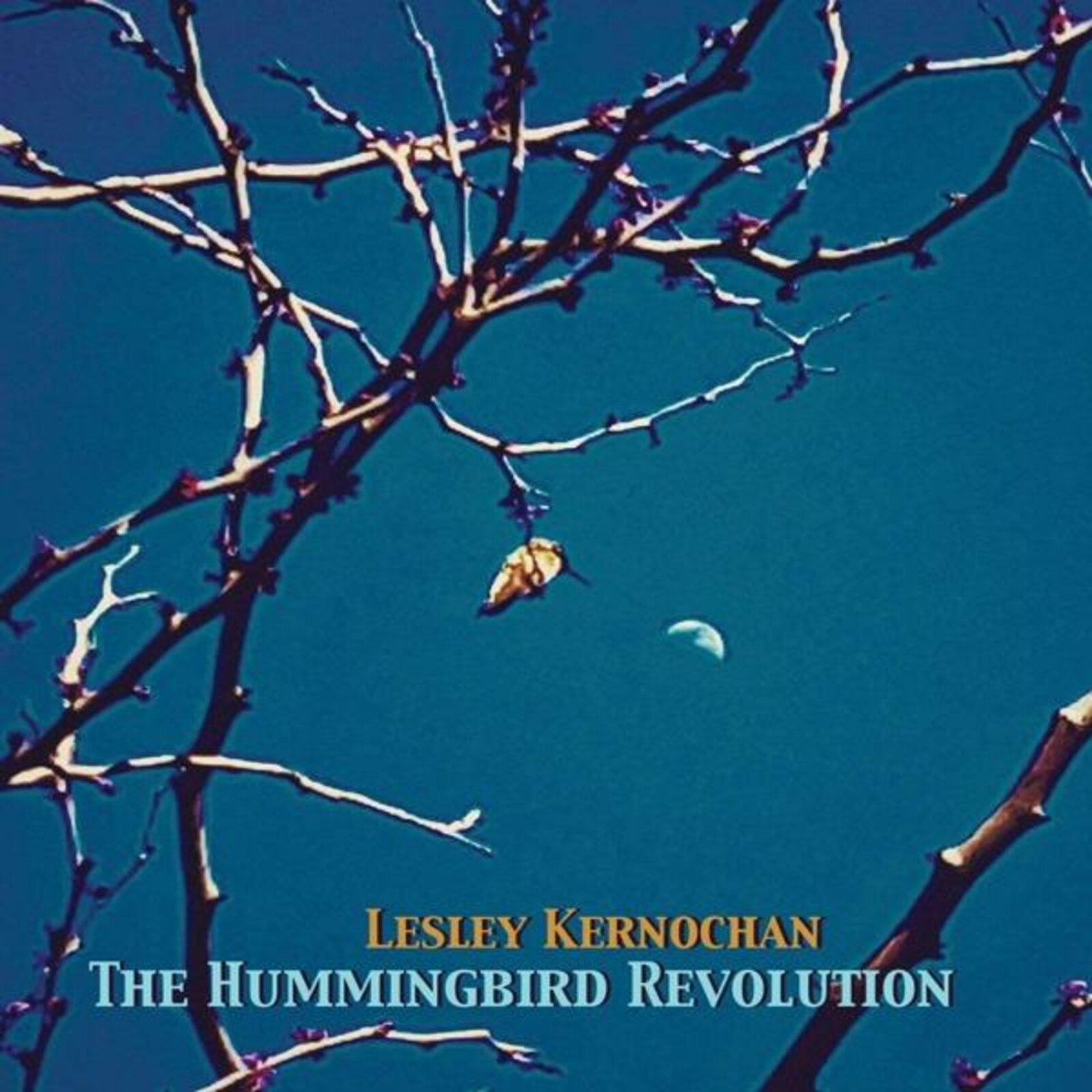 Lesley Kernochan - The Humminbird Revolution (CD)
