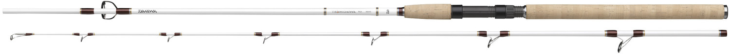 Daiwa Team Daiwa Pilk 2,10 m 150-300 g