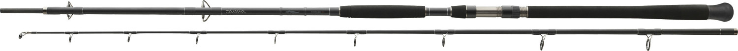 Daiwa Exceler Catfish