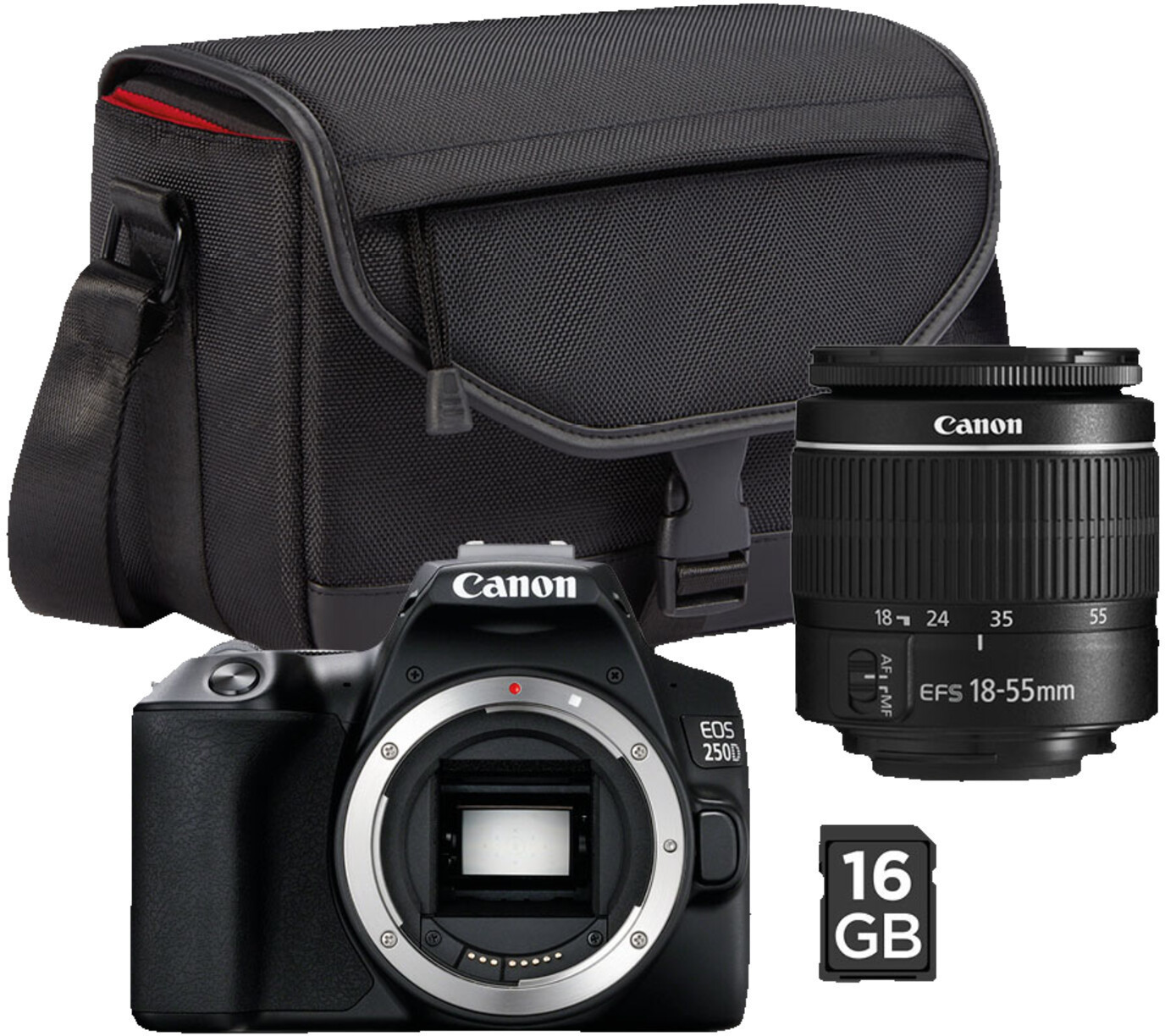 Canon eos 250d kit примеры фото
