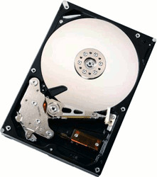 HGST Ultrastar A7K1000 1To (HUA721010KLA330)