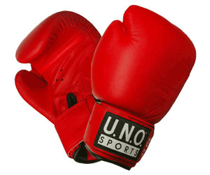 U.N.O. Sports Boxhandschuhe Fun € Preisvergleich ab 36,70 | bei