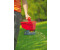 WolfGarten UniversalStreuer WEB ab 28,98 € (Mai 2025 Preise