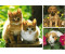 Ravensburger Home Animals (3 x 49 pieces)