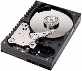 IBM Hot-Swap SATA II 500 Go (39M4530)