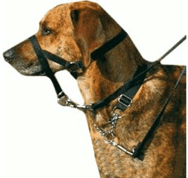 Trixie Harnais de dressage Top Trainer taille S (22 cm)