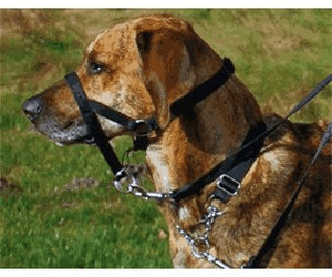 Trixie Ausbildungsgeschirr Top Trainer L 40 cm ab 3 79