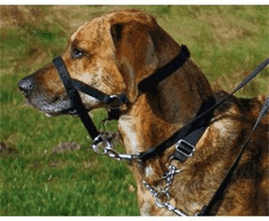Photos - Collar / Harnesses Trixie Training Harness Top Trainer L  (40 cm)