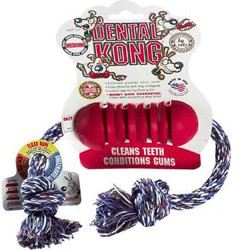 Kong Dental Kong S