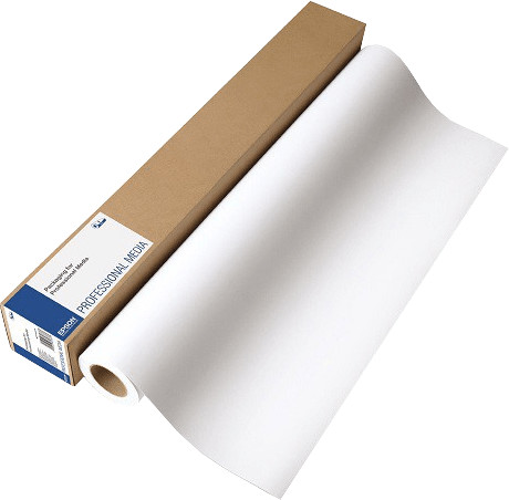 Epson C13S045009