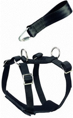 Hunter Ceinture de sécurité Classic L 25 mm x 105 cm