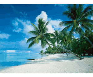 Ravensburger Bora Bora, Palm Beach