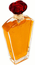 Borghese IL Bacio Eau de Parfum (100 ml)