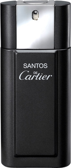 Cartier Santos de Cartier Eau de Toilette (100 ml)