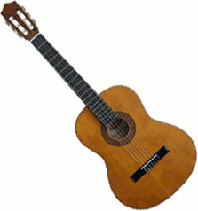 Stagg C442