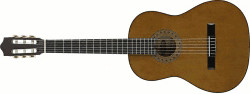 Stagg C546 Gaucher
