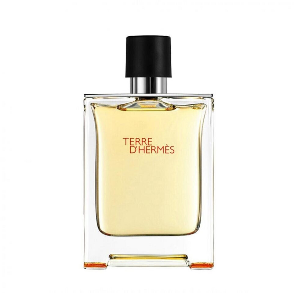 Hermès Terre d'Hermès Eau de Toilette (100 ml)
