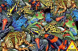 Piatnik Grenouilles (1000 pièces)