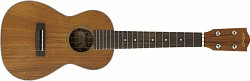 Stagg UC70-S