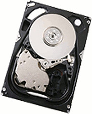 HGST Ultrastar SAS 15K300 300Go (HUS153030VLS300)