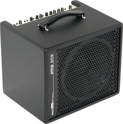 AER Bottom Line Amp One
