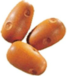 Haba Pommes de terre (1397)